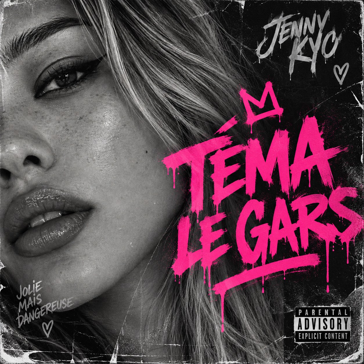 Téma le gars